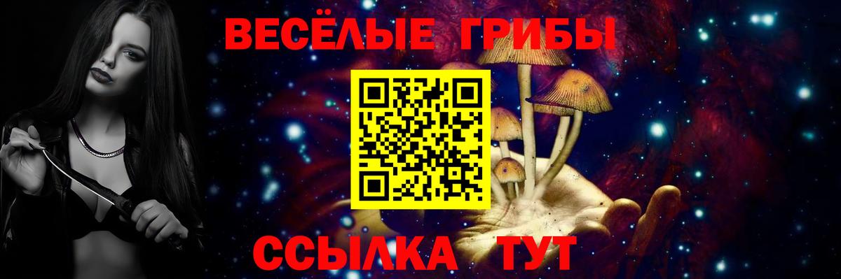 Ейск  Галлюциногенные грибы Magic Shrooms  Галлюциногенные грибы мицелий  Вход с VPN 